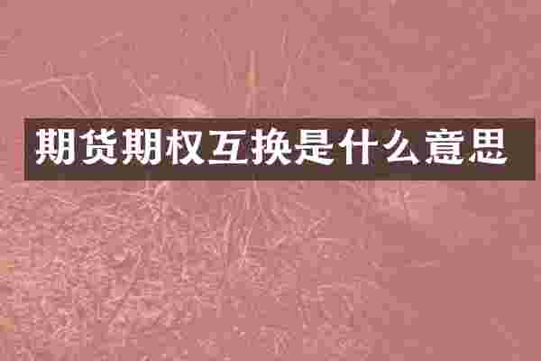期货期权互换是什么意思