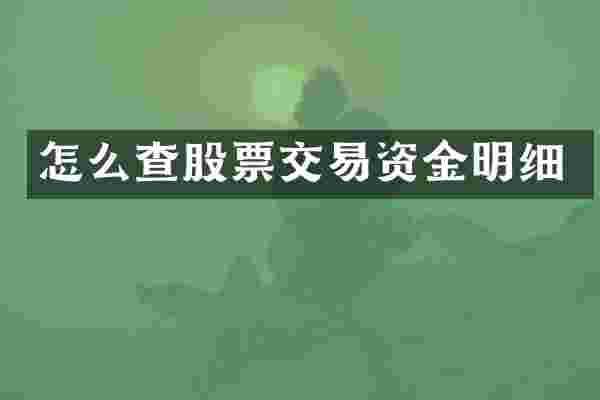 怎么查股票交易资金明细