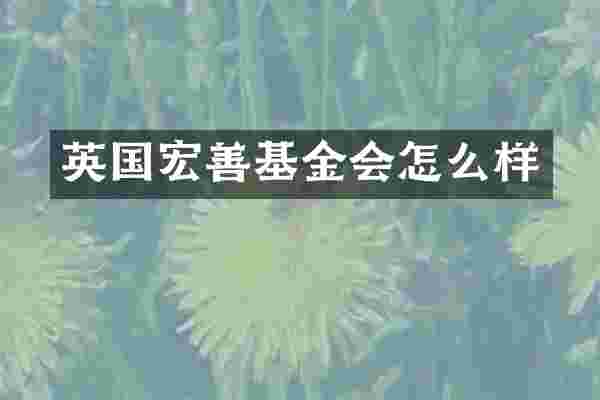 英国宏善基金会怎么样