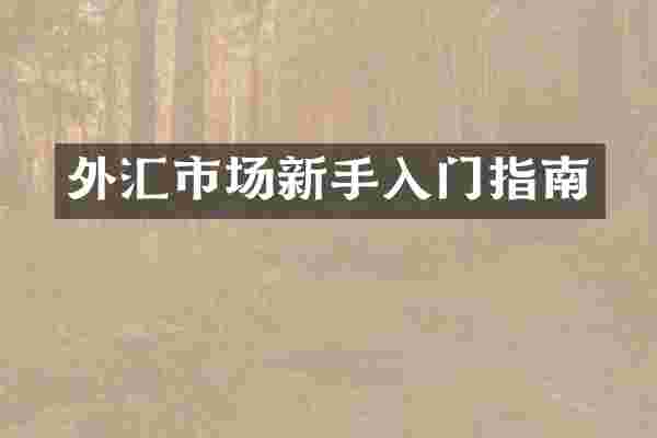 外汇市场新手入门指南