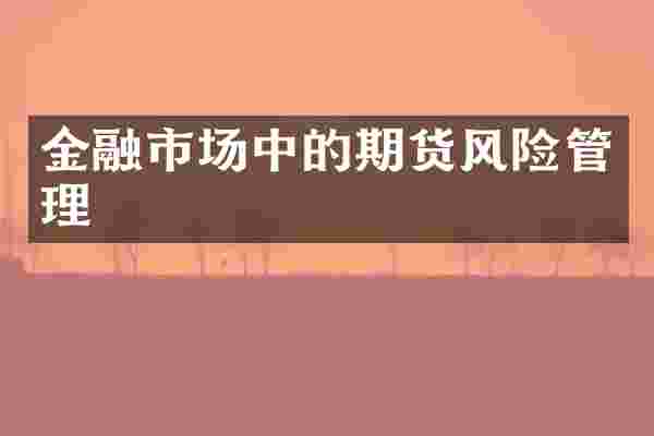 金融市场中的期货风险管理