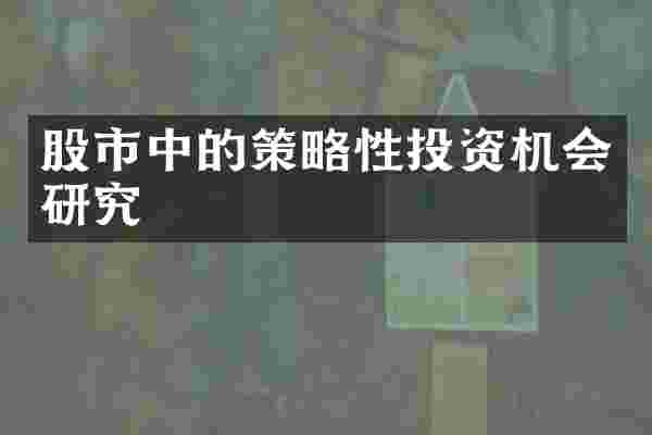 股市中的策略性投资机会研究