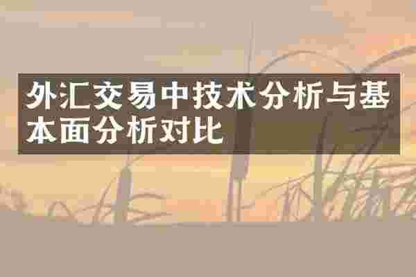 外汇交易中技术分析与基本面分析对比