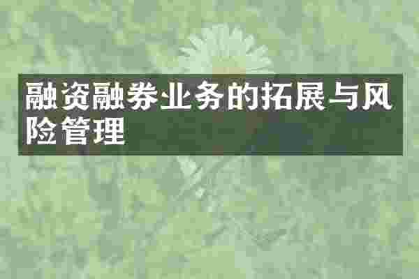 融资融券业务的拓展与风险管理