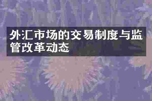 外汇市场的交易制度与监管改革动态