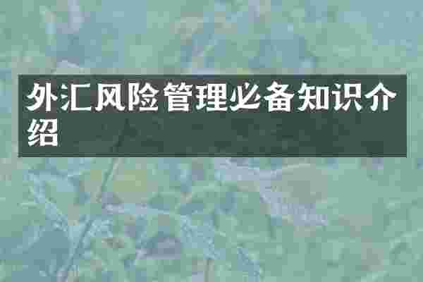 外汇风险管理必备知识介绍