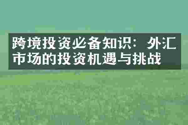 跨境投资必备知识：外汇市场的投资机遇与挑战