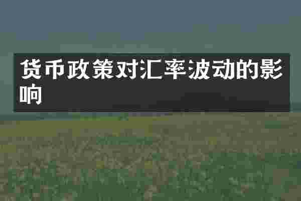 货币政策对汇率波动的影响
