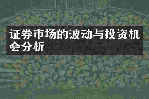 证券市场的波动与投资机会分析