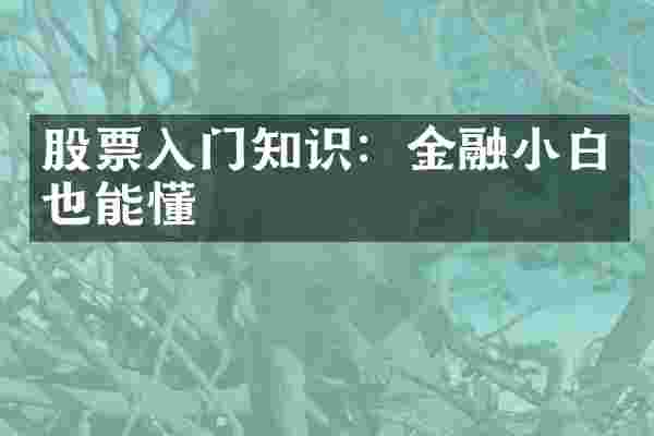 股票入门知识：金融小白也能懂