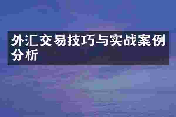外汇交易技巧与实战案例分析