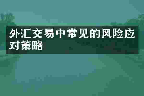 外汇交易中常见的风险应对策略