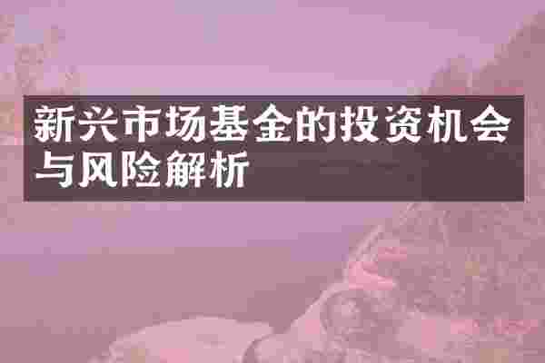新兴市场基金的投资机会与风险解析