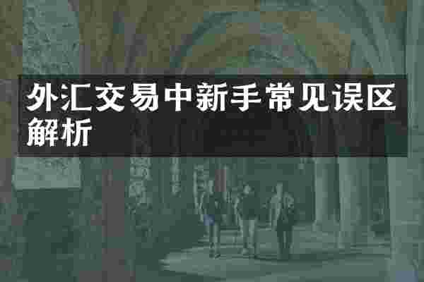 外汇交易中新手常见误区解析