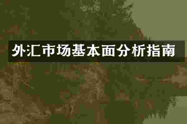 外汇市场基本面分析指南