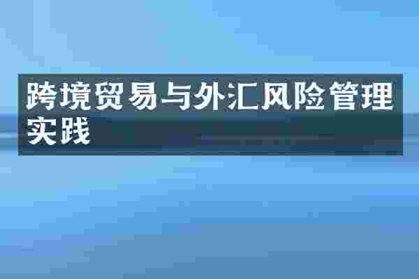 跨境贸易与外汇风险管理实践