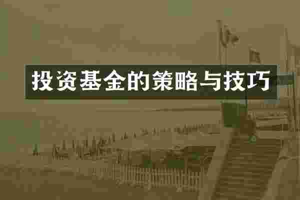 投资基金的策略与技巧