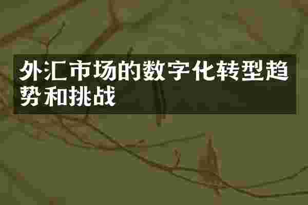 外汇市场的数字化转型趋势和挑战