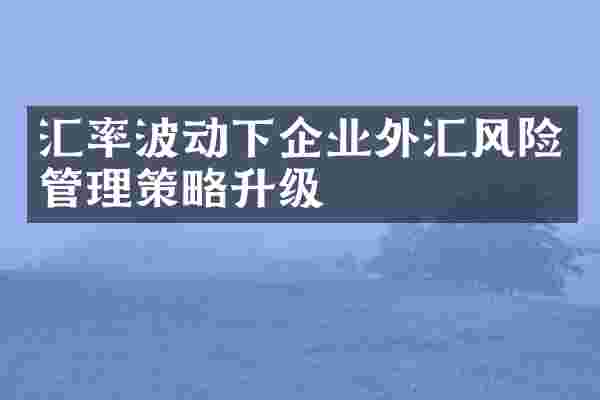 汇率波动下企业外汇风险管理策略升级