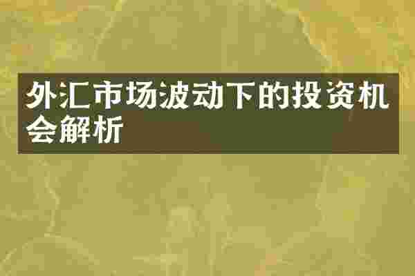 外汇市场波动下的投资机会解析