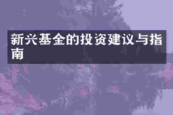新兴基金的投资建议与指南