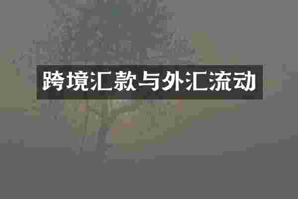 跨境汇款与外汇流动