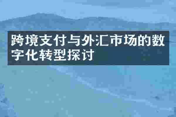 跨境支付与外汇市场的数字化转型探讨