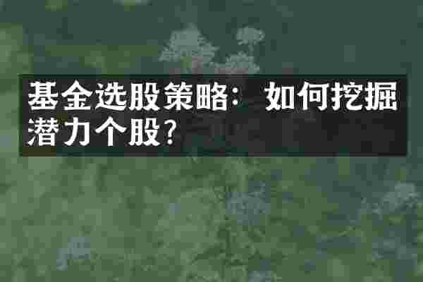 基金选股策略：如何挖掘潜力个股？