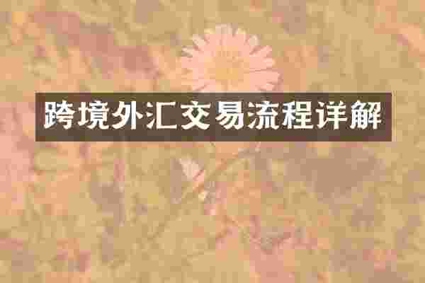 跨境外汇交易流程详解