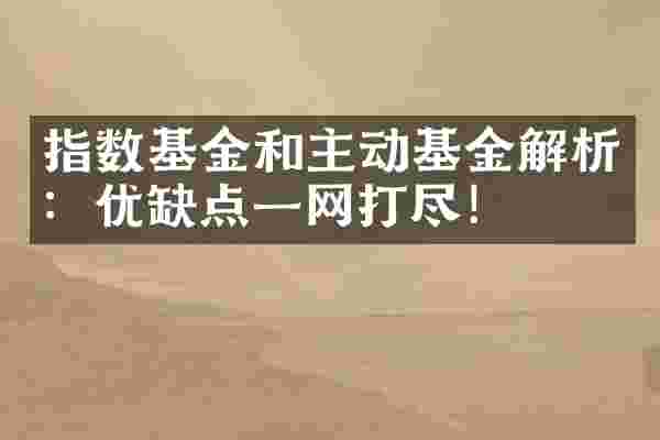 指数基金和主动基金解析：优缺点一网打尽！