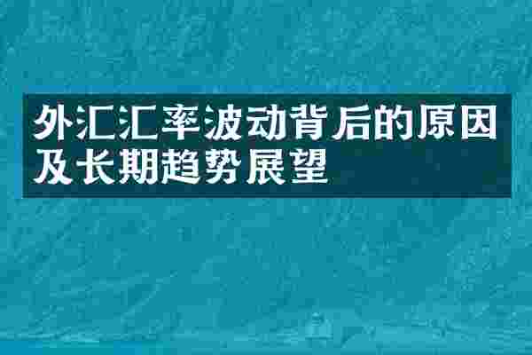 外汇汇率波动背后的原因及长期趋势展望