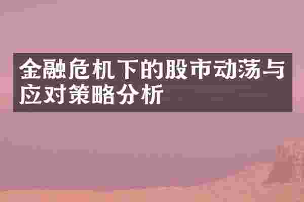 金融危机下的股市动荡与应对策略分析
