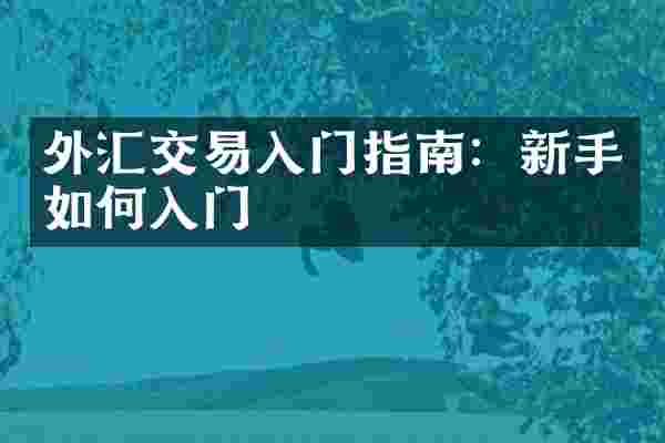 外汇交易入门指南：新手如何入门