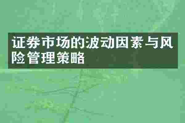 证券市场的波动因素与风险管理策略