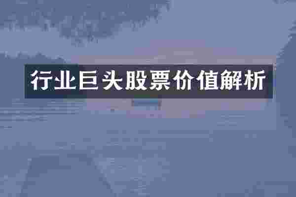 行业巨头股票价值解析