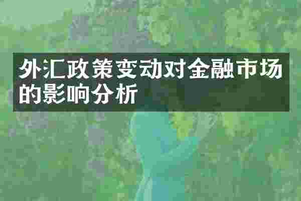 外汇政策变动对金融市场的影响分析