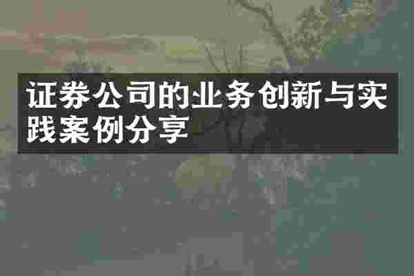 证券公司的业务创新与实践案例分享