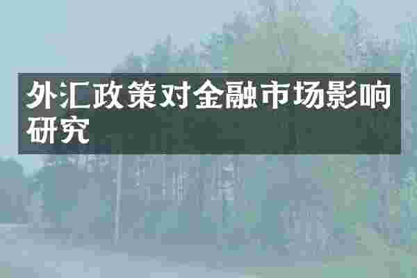 外汇政策对金融市场影响研究