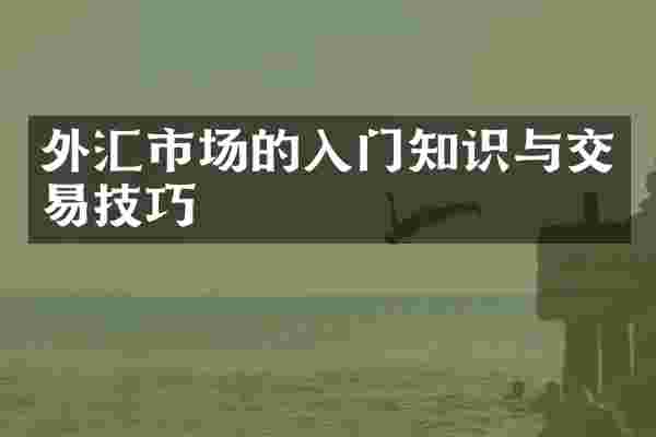 外汇市场的入门知识与交易技巧