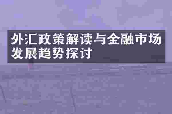 外汇政策解读与金融市场发展趋势探讨