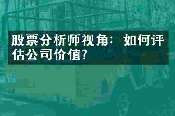 股票分析师视角：如何评估公司价值？