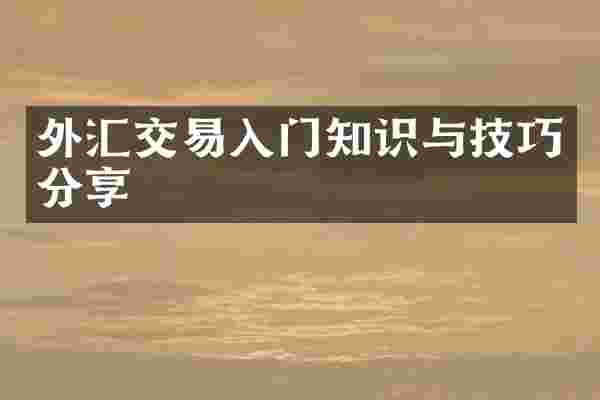 外汇交易入门知识与技巧分享