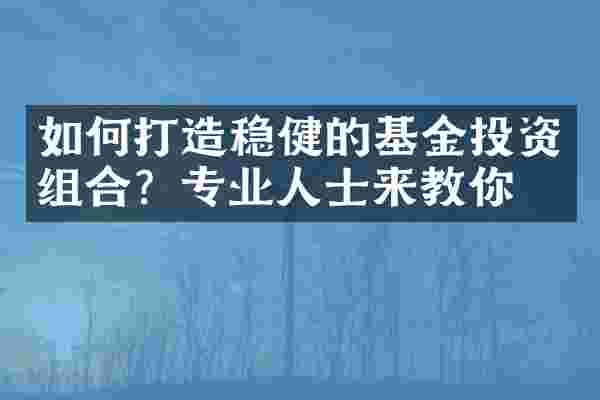 如何打造稳健的基金投资组合？专业人士来教你