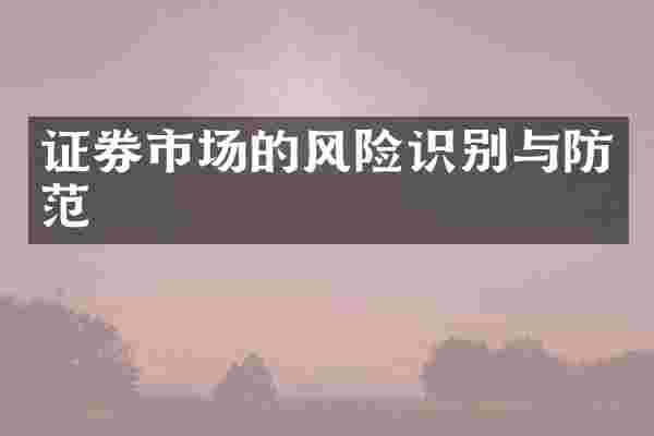 证券市场的风险识别与防范