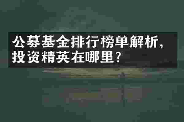 公募基金排行榜单解析，投资精英在哪里？