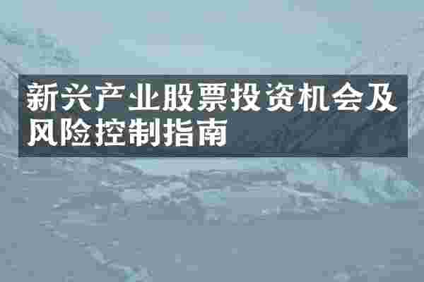 新兴产业股票投资机会及风险控制指南