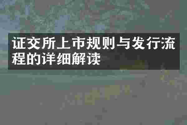 证交所上市规则与发行流程的详细解读