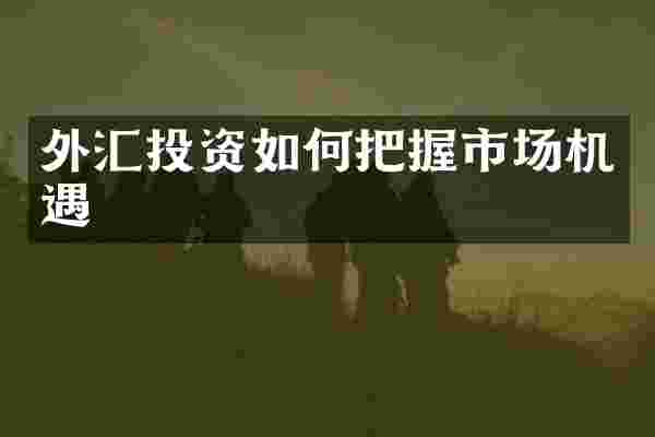 外汇投资如何把握市场机遇