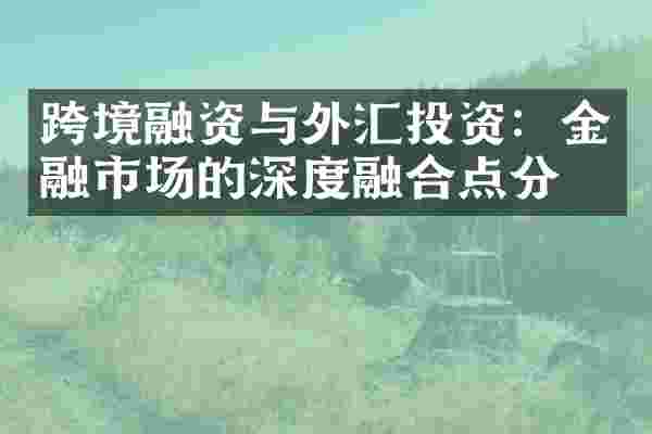 跨境融资与外汇投资：金融市场的深度融合点分析