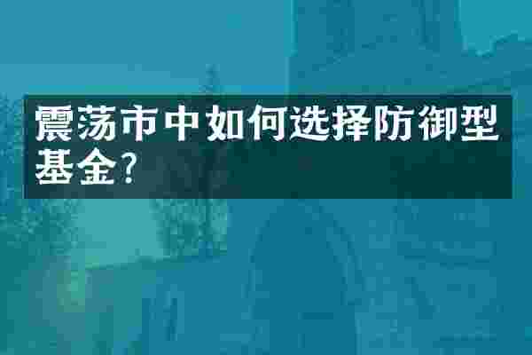 震荡市中如何选择防御型基金？